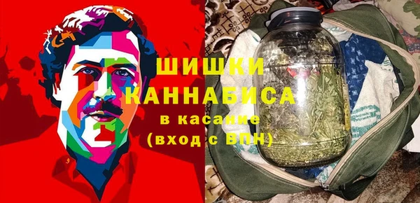 мет Алексин