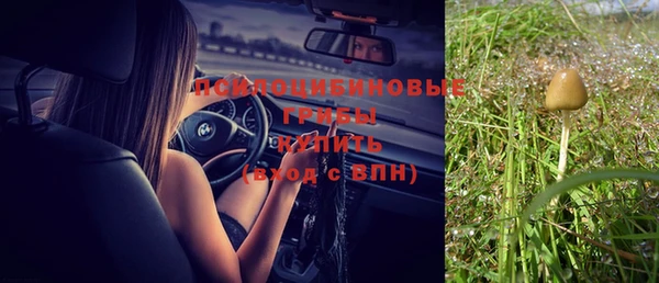а пвп мука Арсеньев